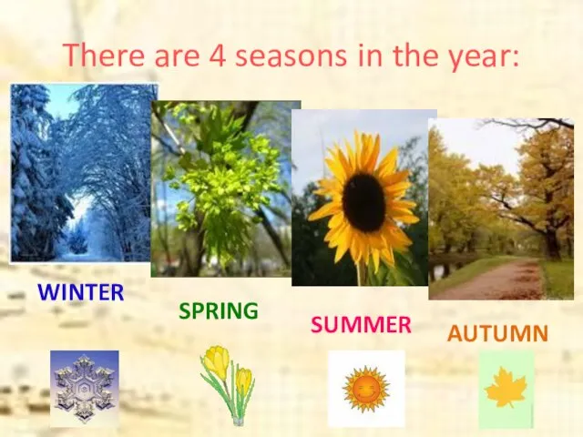 There are 4 seasons in the year: WINTER SPRING SUMMER AUTUMN