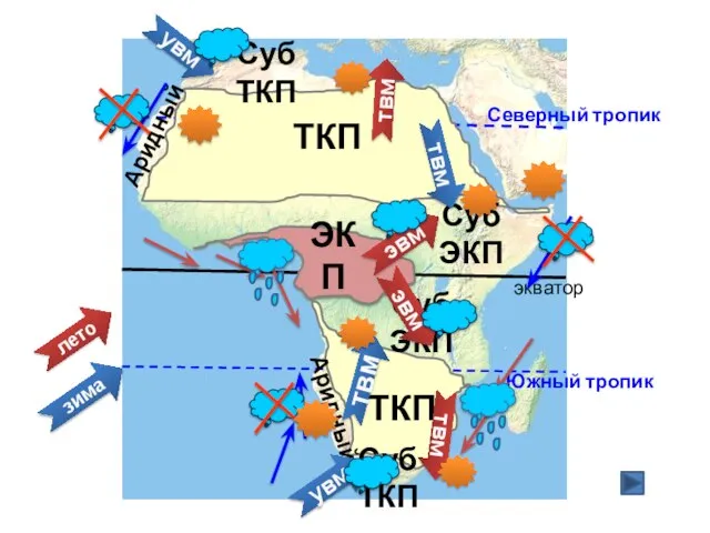 Северный тропик Южный тропик экватор ТКП ТКП Суб ЭКП Суб ЭКП Суб