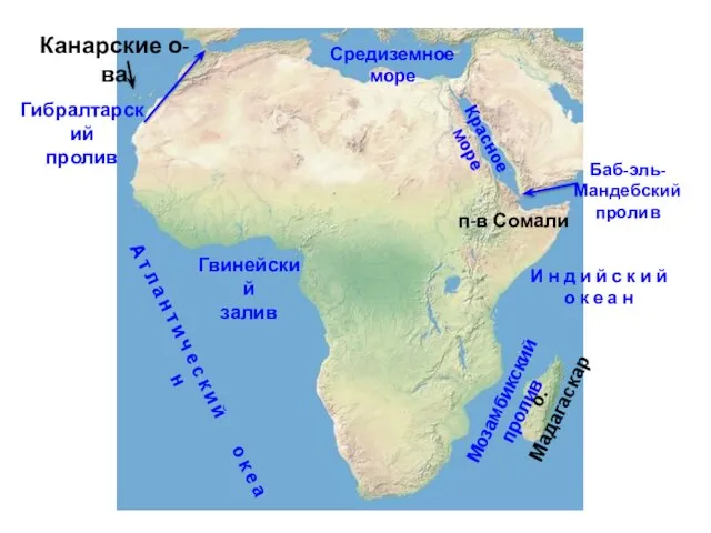 Канарские о-ва Гвинейский залив Средиземное море Мозамбикский пролив Красное море А т