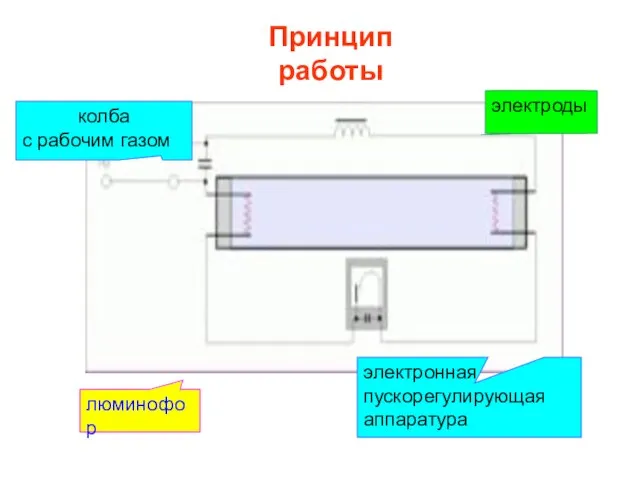 электроды электронная пускорегулирующая аппаратура люминофор колба с рабочим газом Принцип работы