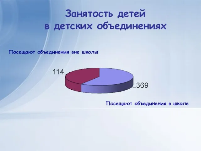 Посещают объединения в школе Посещают объединения вне школы Занятость детей в детских объединениях