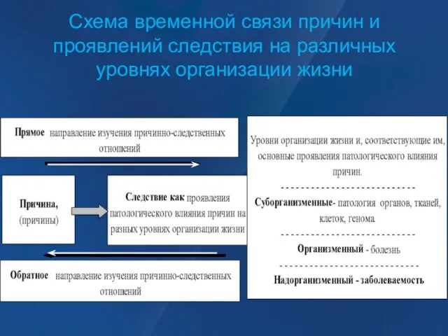 Схема временной связи причин и проявлений следствия на различных уровнях организации жизни