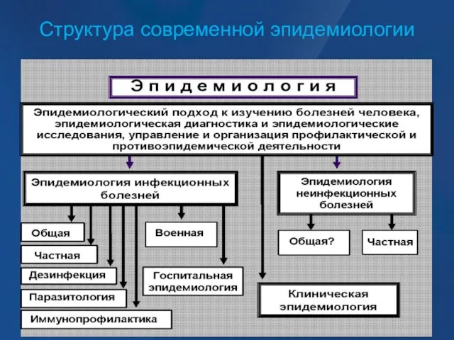 Структура современной эпидемиологии