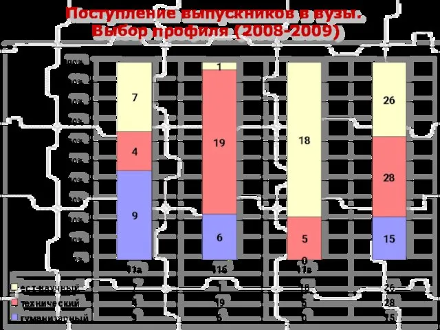 Поступление выпускников в вузы. Выбор профиля (2008-2009)