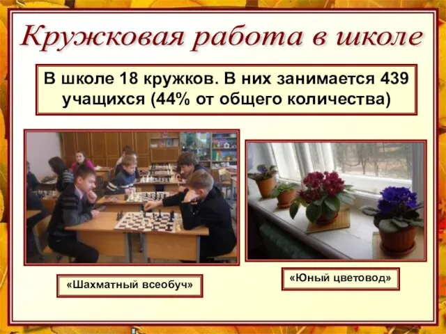 Кружковая работа в школе В школе 18 кружков. В них занимается 439