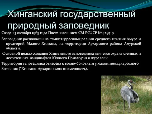 Хинганский государственный природный заповедник Создан 3 октября 1963 года Постановлением СМ РСФСР