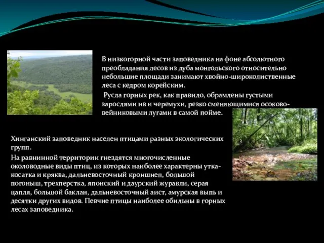 В низкогорной части заповедника на фоне абсолютного преобладания лесов из дуба монгольского