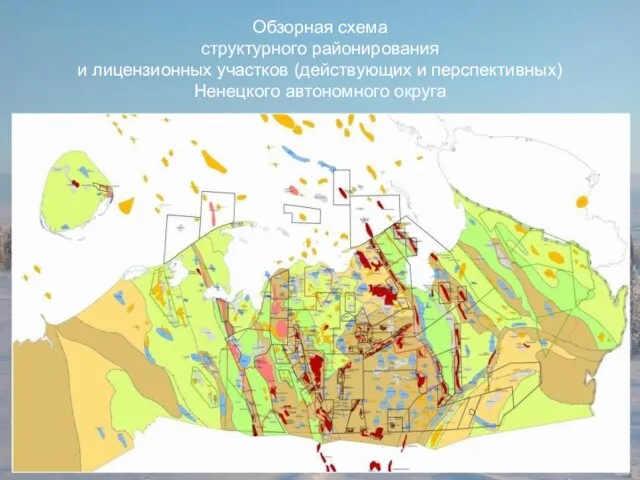 Обзорная схема структурного районирования и лицензионных участков (действующих и перспективных) Ненецкого автономного округа