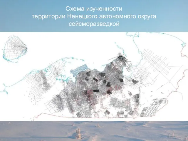 Схема изученности территории Ненецкого автономного округа сейсморазведкой