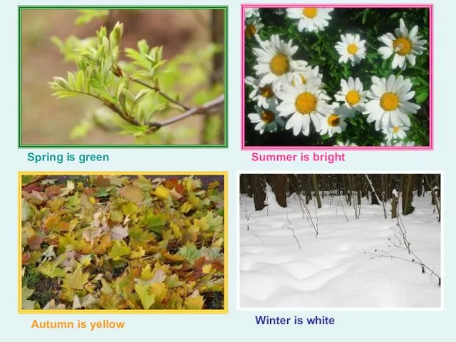 Spring is green Summer is bright Autumn is yellow Winter is white