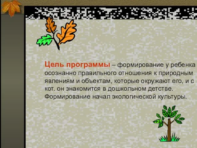 Цель программы – формирование у ребенка осознанно правильного отношения к природным явлениям