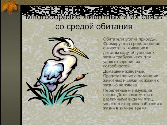 Многообразие животных и их связь со средой обитания Обитатели уголка природы. Формируются