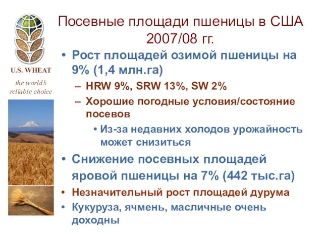 Посевные площади пшеницы в США 2007/08 гг. Рост площадей озимой пшеницы на