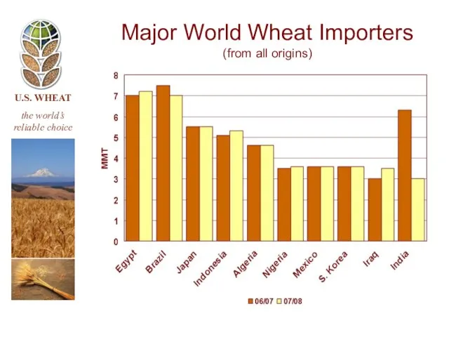 Major World Wheat Importers (from all origins)