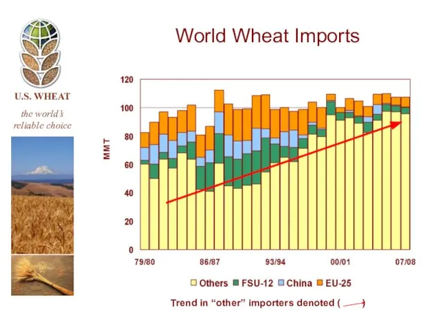 World Wheat Imports Trend in “other” importers denoted ( )