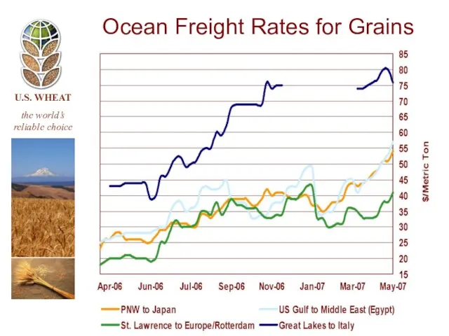 Ocean Freight Rates for Grains