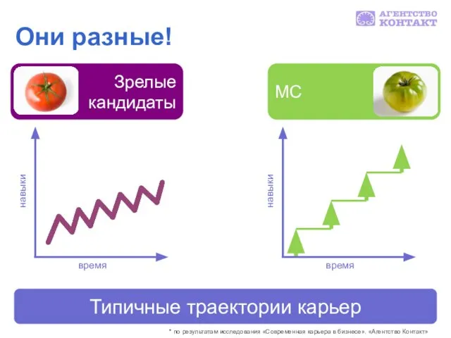 Они разные! Зрелые кандидаты МС Типичные траектории карьер * по результатам исследования