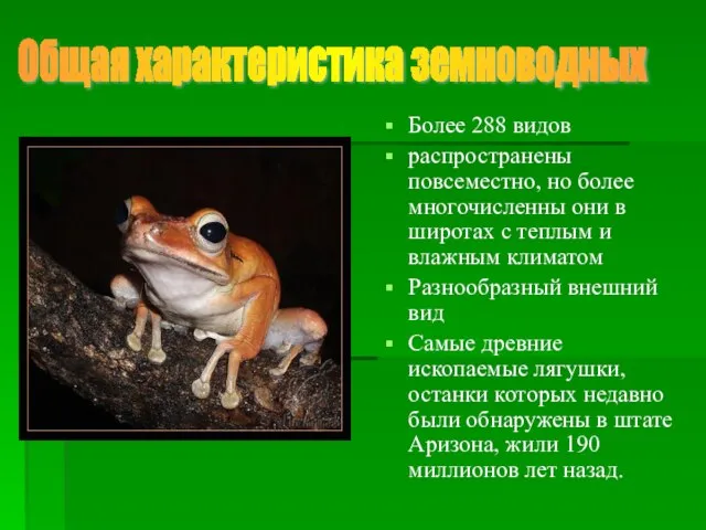 Более 288 видов распространены повсеместно, но более многочисленны они в широтах с