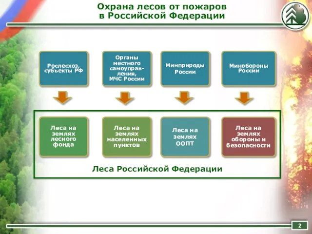 Охрана лесов от пожаров в Российской Федерации Леса на землях лесного фонда