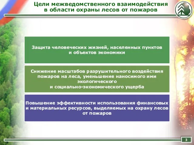 Цели межведомственного взаимодействия в области охраны лесов от пожаров Защита человеческих жизней,