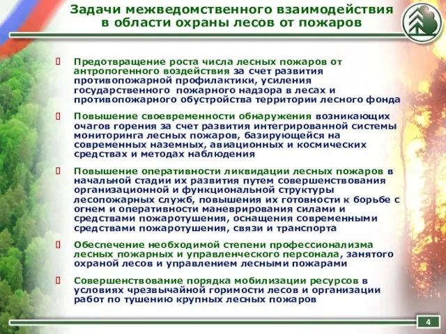 Задачи межведомственного взаимодействия в области охраны лесов от пожаров Предотвращение роста числа