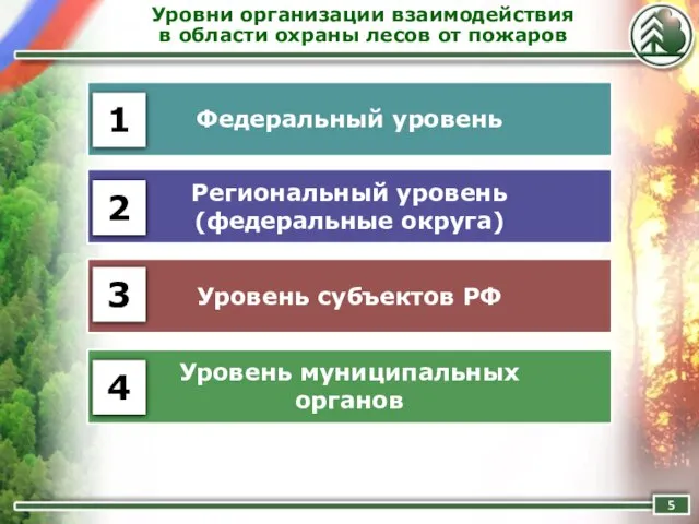 Уровни организации взаимодействия в области охраны лесов от пожаров Федеральный уровень Региональный