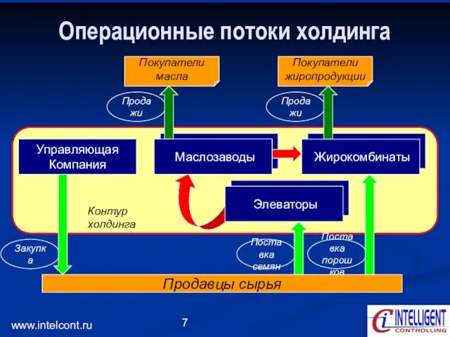 www.intelcont.ru Маслозаводы Операционные потоки холдинга Управляющая Компания Маслозаводы Контур холдинга Поставка семян