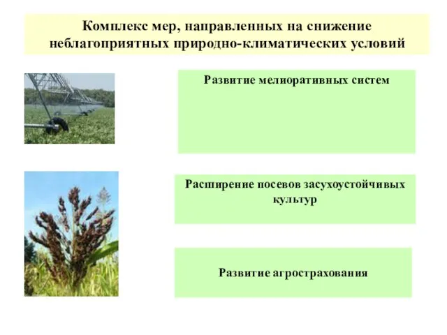 Комплекс мер, направленных на снижение неблагоприятных природно-климатических условий Развитие агрострахования Расширение посевов