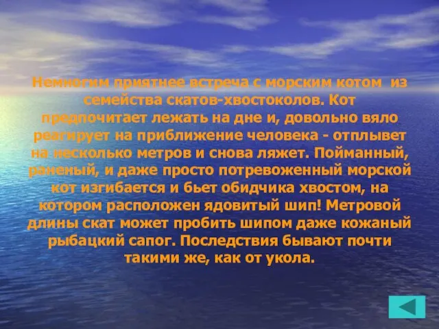 Немногим приятнее встреча с морским котом из семейства скатов-хвостоколов. Кот предпочитает лежать