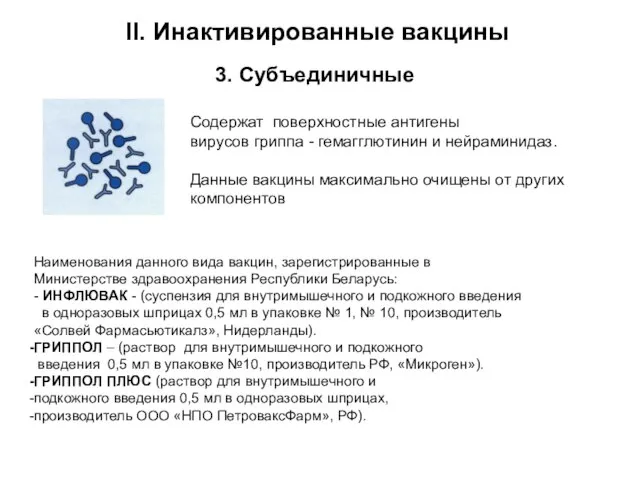 3. Субъединичные Содержат поверхностные антигены вирусов гриппа - гемагглютинин и нейраминидаз. Данные