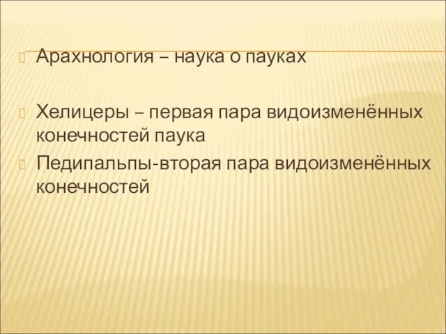 Арахнология – наука о пауках Хелицеры – первая пара видоизменённых конечностей паука Педипальпы-вторая пара видоизменённых конечностей