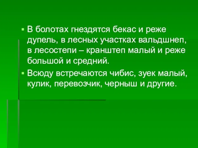 В болотах гнездятся бекас и реже дупель, в лесных участках вальдшнеп, в