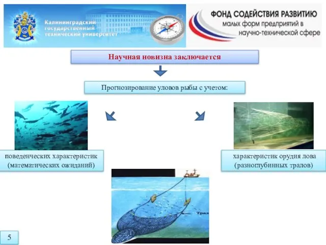 Научная новизна заключается Прогнозирование уловов рыбы с учетом: поведенческих характеристик (математических ожиданий)
