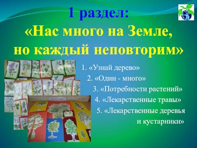 1 раздел: «Нас много на Земле, но каждый неповторим» 1. «Узнай дерево»