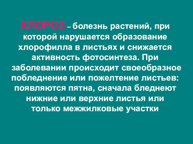 ХЛОРОЗ – болезнь растений, при которой нарушается образование хлорофилла в листьях и