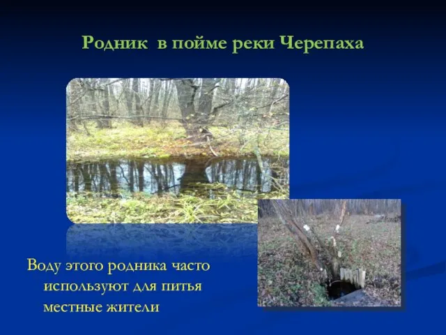 Родник в пойме реки Черепаха Воду этого родника часто используют для питья местные жители