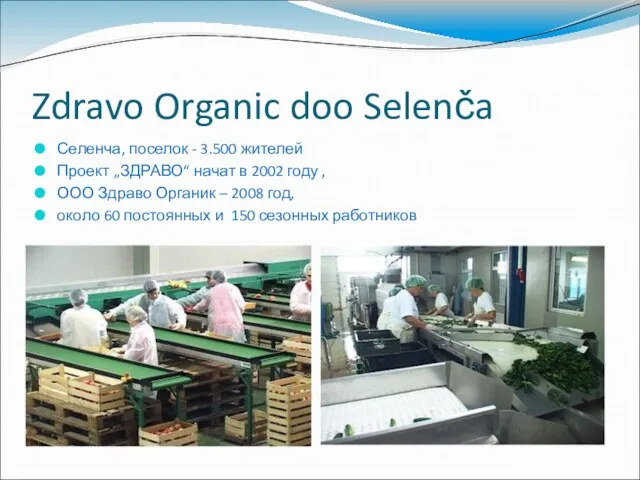 Zdravo Organic doo Selenča Селенча, поселок - 3.500 жителей Проект „ЗДРАВО“ начат