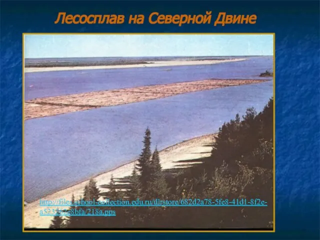 Лесосплав на Северной Двине http://files.school-collection.edu.ru/dlrstore/682d2a78-5fe8-41d1-8f2e-a523262e8bfa/218a.pps