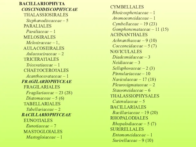 BACILLARIOPHYTA COSCINODISCOPHYCEAE THALASSIOSIRALES Stephanodiscaceae – 5 PARALIALES Paraliaceae – 1 MELOSIRALES Melosiraceae