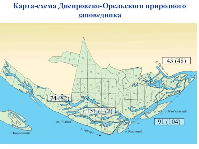 74 (82) 151 (172) 91 (104) 43 (48) Карта-схема Днепровско-Орельского природного заповедника