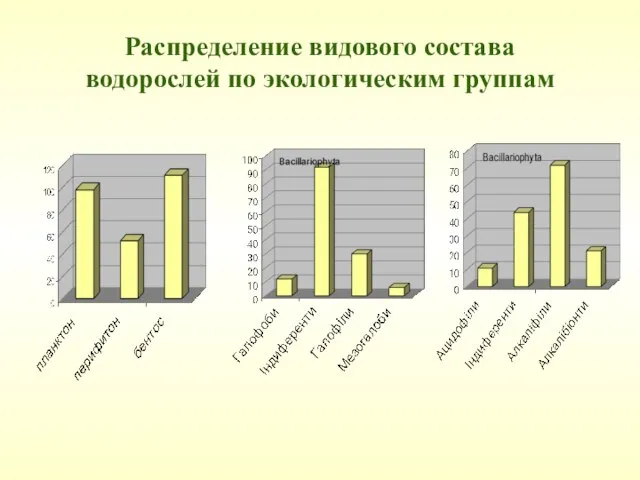 Распределение видового состава водорослей по экологическим группам