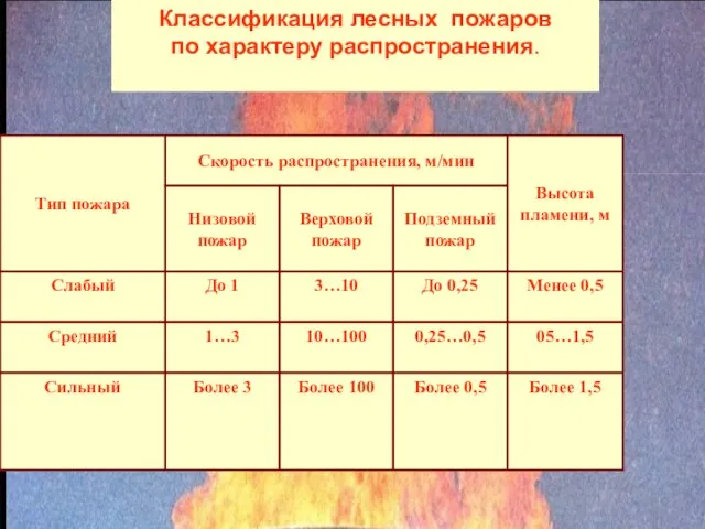 Классификация лесных пожаров по характеру распространения.