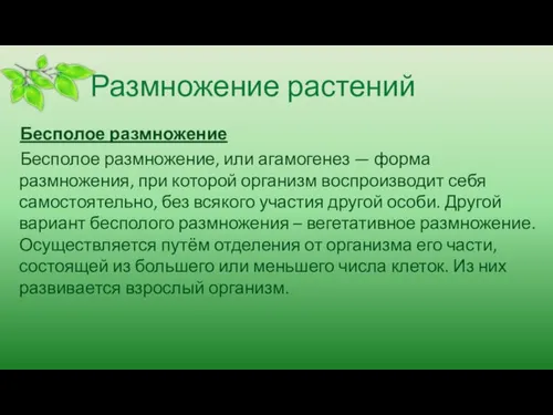 Размножение растений Бесполое размножение Бесполое размножение, или агамогенез — форма размножения, при