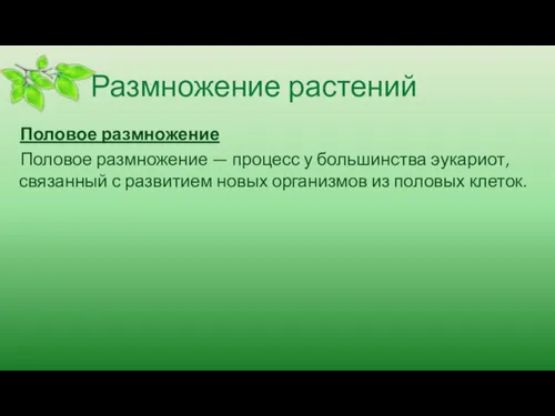 Размножение растений Половое размножение Половое размножение — процесс у большинства эукариот, связанный