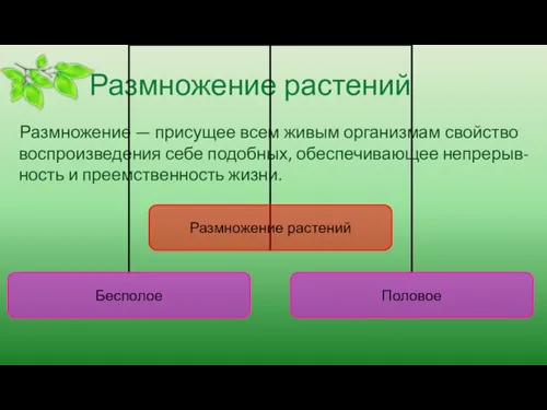 Размножение растений Размножение — присущее всем живым организмам свойство воспроизведения себе подобных,