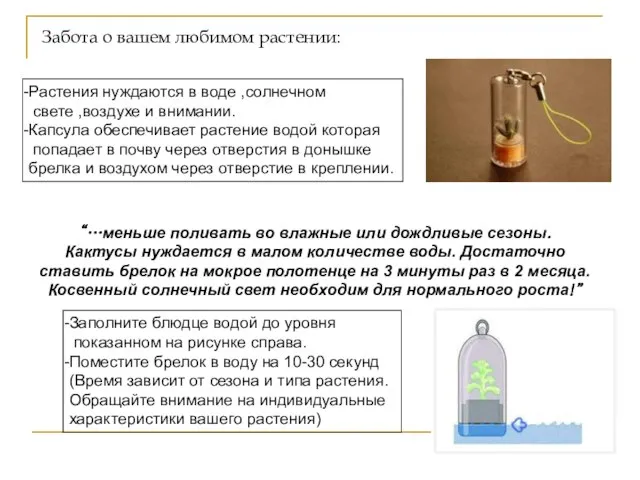 Забота о вашем любимом растении: Растения нуждаются в воде ,солнечном свете ,воздухе