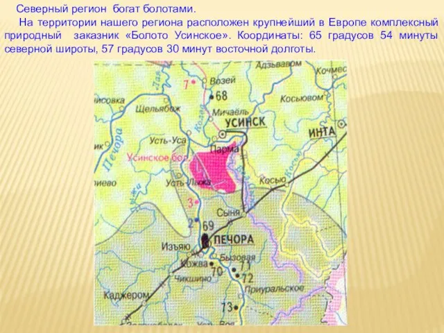 Северный регион богат болотами. На территории нашего региона расположен крупнейший в Европе