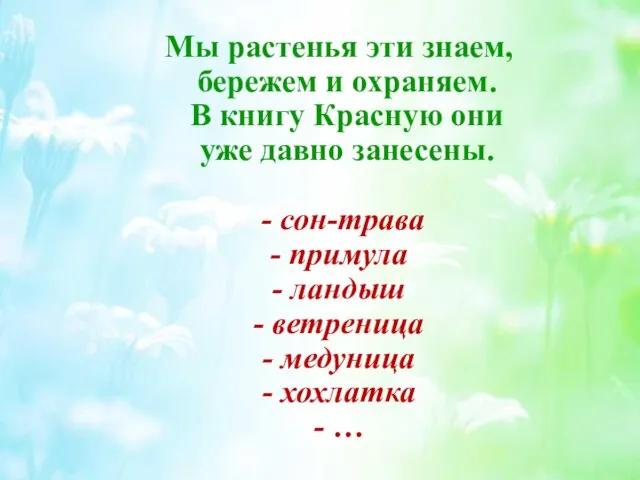 Мы растенья эти знаем, бережем и охраняем. В книгу Красную они уже