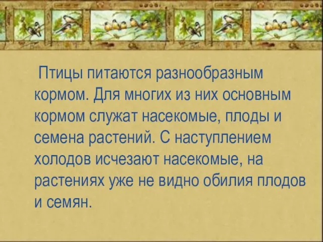 Птицы питаются разнообразным кормом. Для многих из них основным кормом служат насекомые,