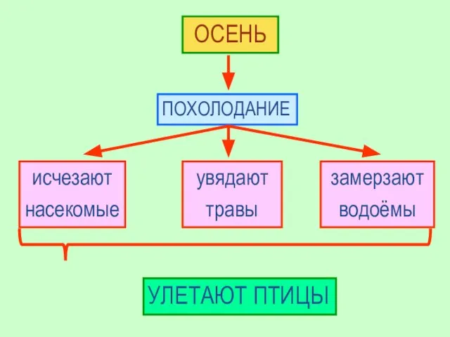 ОСЕНЬ ПОХОЛОДАНИЕ исчезают насекомые увядают травы замерзают водоёмы УЛЕТАЮТ ПТИЦЫ